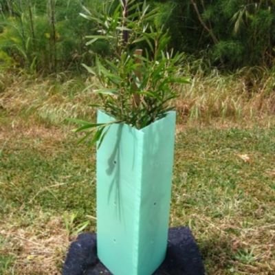 Corflute a ridé les gardes de plastique de plastique d'arbre de l'enveloppe 2mm d'arbre dur