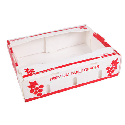 Cartons d'expédition végétaux en plastique ondulés de Coroplast de fruit de caisse d'emballage d'anticorrosif