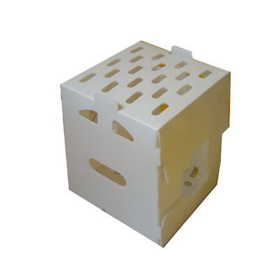 Boîtes de rangement colorées en coroplast de taille personnalisée recyclables