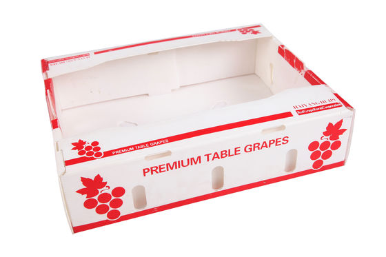 Boîte en plastique ondulé en PP Boîte d'emballage de fruits en coroplastique personnalisée pliable recyclable