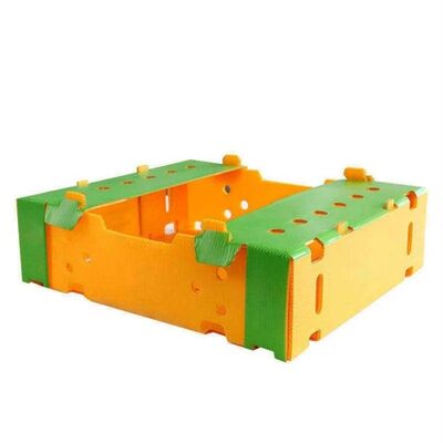 Une boîte d'emballage en coroplastique personnalisée pour les fruits et légumes. Une caisse en plastique légère, imperméable, durable, recyclable, pliable et empilable.