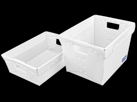 Hollow Board Mail Tote: Lightweight, Durable and Reusable Returnable Logistics Container for Efficient Supply Chain Use