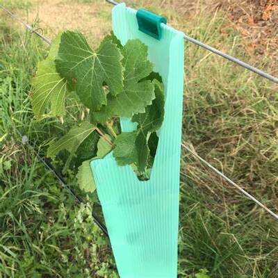 PP Tree Guard est léger, durable, imperméable et facile à installer. Il protège les jeunes arbres du vent, des animaux et des dommages, avec des tailles, des couleurs, des épaisseurs et des motifs personnalisables.