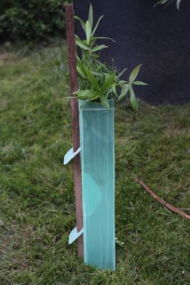Pp ont ridé les gardes de plastique de Corflute Sustainable Tree de garde d'arbre