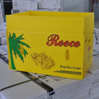 Boîtes ondulées réutilisables de Coroplast de conditionnement en plastique ondulé végétal