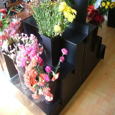Dispositif d'affichage floral noir de fleuriste d'étape du présentoir de Corflute pp 4
