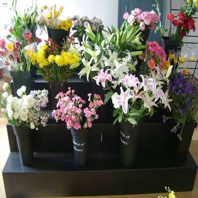 Dispositif d'affichage floral noir de fleuriste d'étape du présentoir de Corflute pp 4