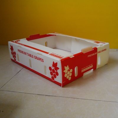 Boîtes ondulées du polypropylène 5mm pour l'emballage de fruit imperméable