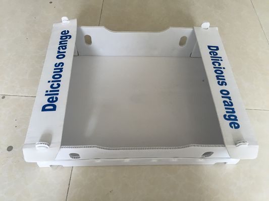 Boîtes ondulées du polypropylène 5mm pour l'emballage de fruit imperméable