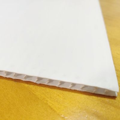 Le panneau creux Coroplast de polypropylène d'OEM a ridé le plastique imperméable