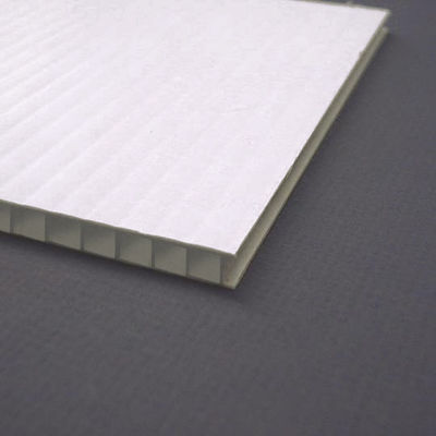 Le plastique coloré de Corflute couvre 4mm a ridé le conseil de plastique