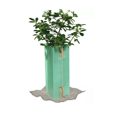 Protecteurs en plastique d'arbre de Bunnings 5mm Coroplast de gardes d'arbre de Corflute de triangle