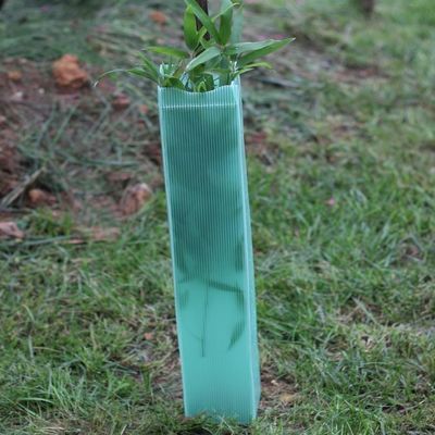 Corflute a ridé les gardes de plastique de plastique d'arbre de l'enveloppe 2mm d'arbre dur