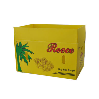 Cartons d'expédition végétaux en plastique ondulés de Coroplast de fruit de caisse d'emballage d'anticorrosif