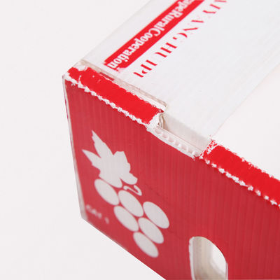 Boîtes en carton de produit frais de Corflute Coroplast Kiwi Fruit Packing Box