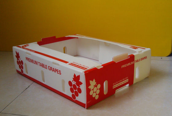 Boîtes en carton de produit frais de Corflute Coroplast Kiwi Fruit Packing Box