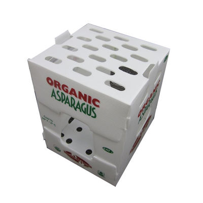 Caisses d'emballage de mangue de boîte d'emballage de grenade de Coroplast pour l'exportation