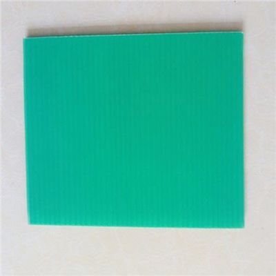 5mm légers forts que les feuilles de Correx cartonnent Plast ont ridé les panneaux en plastique