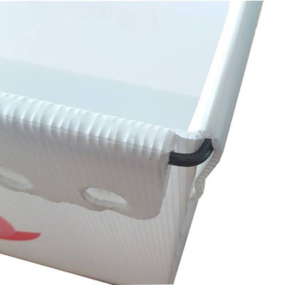 Emballage en plastique ondulé imperméable 4mm de courrier 5mm Coroplast