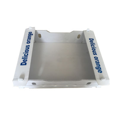 Polychrome Coroplast carton d'expédition les boîtes en plastique ondulées 4mm pliantes de 3mm
