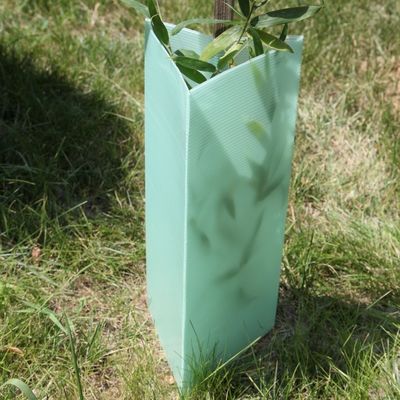 La triangle a ridé les gardes de plastique d'usine des gardes 2mm Corflute d'arbre
