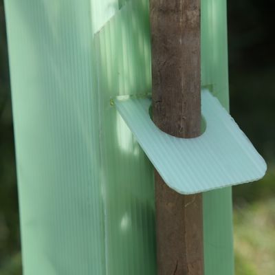 La triangle a ridé les gardes de plastique d'usine des gardes 2mm Corflute d'arbre