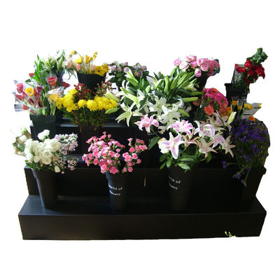 Épaisseur de Corflute 8mm de noir de présentoir de fleur de polypropylène de pp