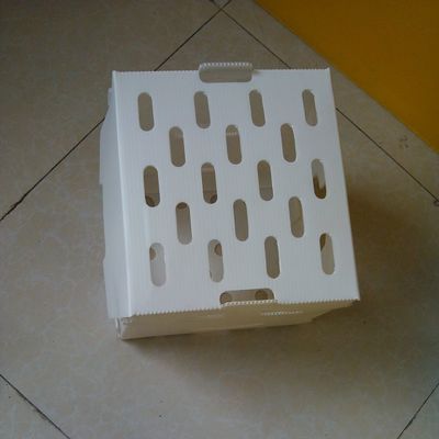 Le chiffre d'affaires pp a ridé des boîtes de rangement de Corflute de cavité de boîte en plastique