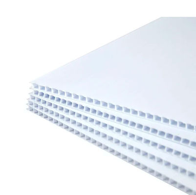 panneau creux de la feuille 5mm Coreflute de polypropylène de 4mm Coreflute