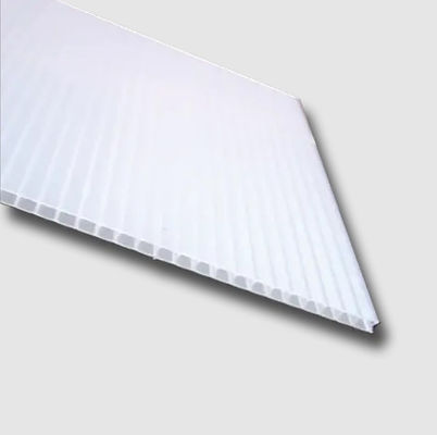 panneau creux de la feuille 5mm Coreflute de polypropylène de 4mm Coreflute