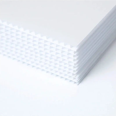 panneau creux de la feuille 5mm Coreflute de polypropylène de 4mm Coreflute