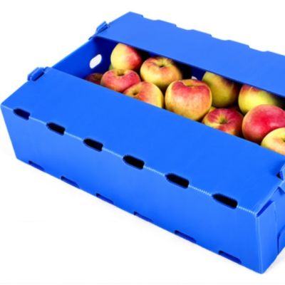 Résistant d'humidité bleu de polypropylène de boîte d'emballage de fruit de Coroplast Apple
