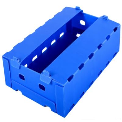 Résistant d'humidité bleu de polypropylène de boîte d'emballage de fruit de Coroplast Apple
