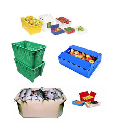 Caisses d'emballage de pêche de Coroplast de vert de boîte d'emballage de fruit de polypropylène