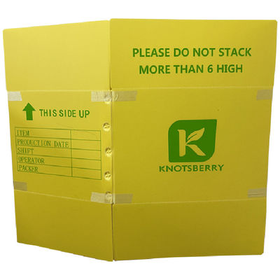 Boîte en plastique ondulé PP : L'alternative écologique aux matériaux traditionnels