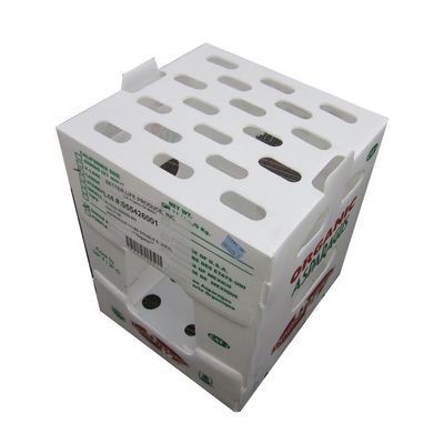 Boîtes de rangement colorées en coroplast de taille personnalisée recyclables
