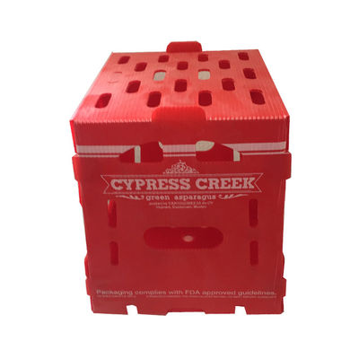Boîtes de rangement colorées en coroplast de taille personnalisée recyclables