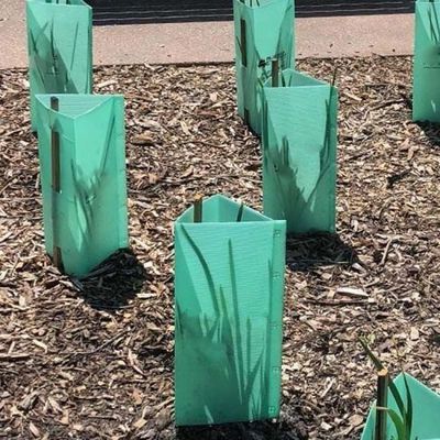 3mm vert plastique Corflute arbre gardes UV protecteur étanche