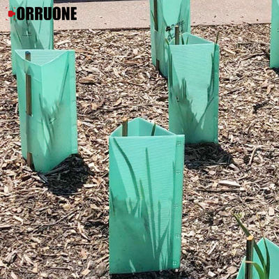 La protection des arbres Corflute est une feuille en plastique ondulé écologique qui protège les jeunes arbres contre les rongeurs et les pulvérisations chimiques