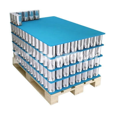 Le polypropylène pp a ridé la couche en plastique capitonne la palette de bouteille de Coroplast