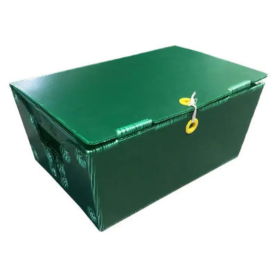 Rigide postal de Tote Corrugated Plastic Boxes Bins de courrier de polypropylène adapté aux besoins du client avec des poignées