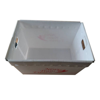 Courrier postal Tote Hollow Boxes Bins Rigid de pp adapté aux besoins du client avec des poignées