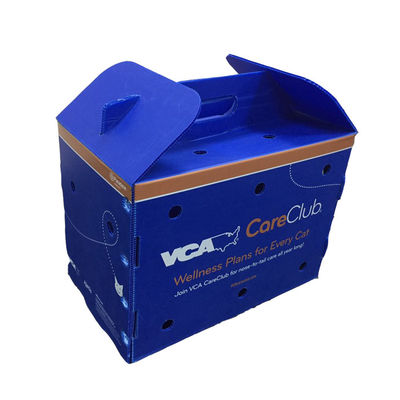 Boîte d'emballage de fruits sans danger pour l'alimentation en polypropylène offrant des caractéristiques imperméables et anti-impact pour les solutions d'expédition de fruits