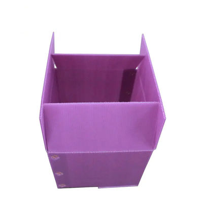 Boîte de rangement en plastique ondulée de empaquetage végétale légère rigide de boîte