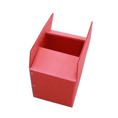 Boîte de rangement en plastique ondulée de empaquetage végétale légère rigide de boîte