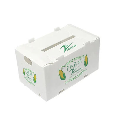 Le polypropylène a ridé le transport en plastique de stockage d'emballage de boîte à fruit