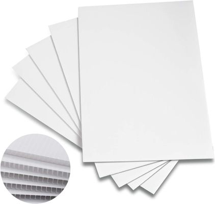 PP feuille de plastique ondulée Corflute Board pliable léger Personnalisé Durable