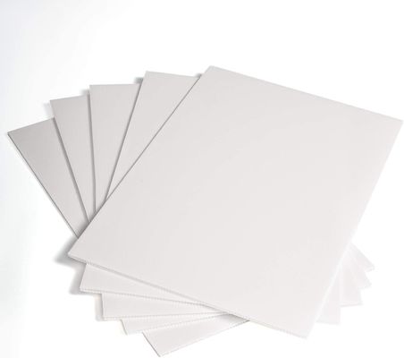 PP feuille de plastique ondulée Corflute Board pliable léger Personnalisé Durable