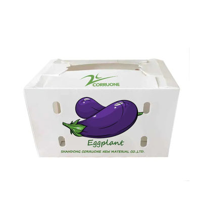 Boîte à légumes en polypropylène coroplastique personnalisée boîte d'emballage en plastique ondulé en PP