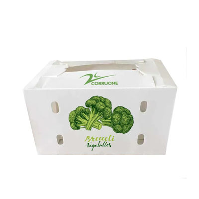 Boîte à légumes en polypropylène coroplastique personnalisée boîte d'emballage en plastique ondulé en PP